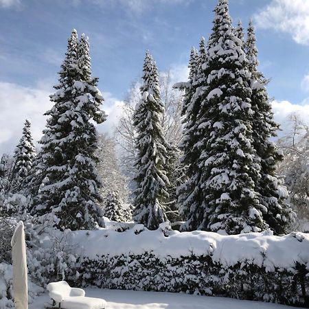 Traumhaftes Ferienhaus Direkt Am Tegernsee Rotta المظهر الخارجي الصورة