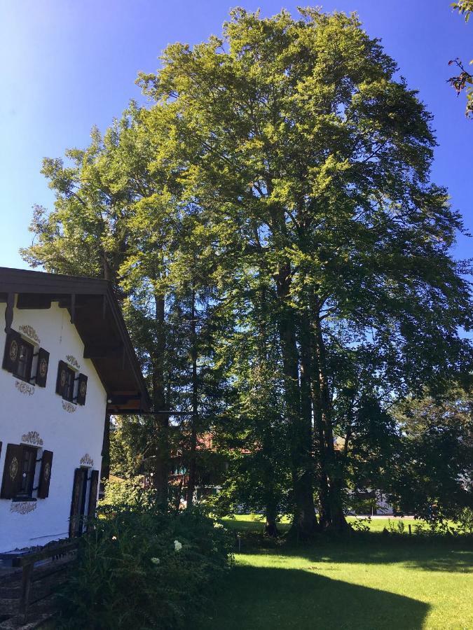 Traumhaftes Ferienhaus Direkt Am Tegernsee Rotta المظهر الخارجي الصورة